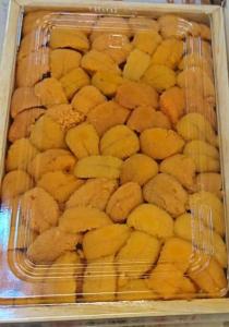Wholesale export: Fresh Sea Urchin
