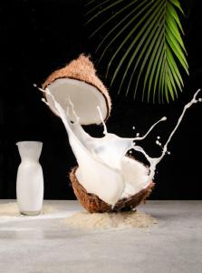 Wholesale indonesia: Mature Coconut Semi Husked Indonesia