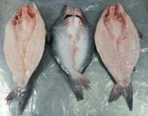Wholesale steak: Pangasius Buttefly,Red Pomfret,Tilapia,