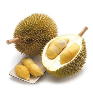 Wholesale h: Fresh Musang King Durian From Vietnam- Cheapest Price, Best Quality (HuuNghi Fruit)H