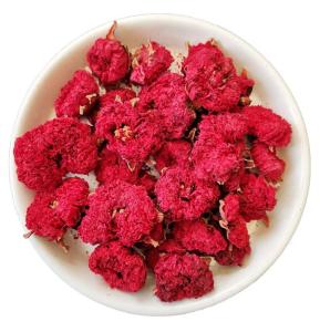 Wholesale iran: Pomegranate Flower