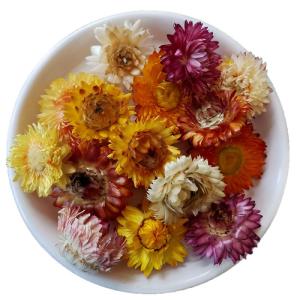 Wholesale decorative lighting: Chrysanthemum