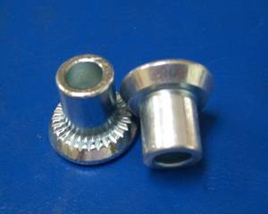 Cold Forged Rivets Made in Taiwan