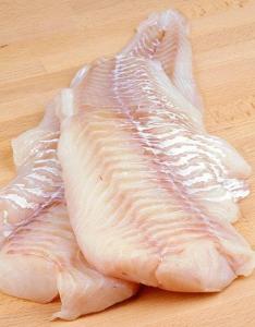 Wholesale Fresh Food: Frozen Hake Fish Fresh Merluccius Codfish Fillets, Haddock Fillet