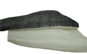 Wholesale seafood: Chilean Sea Bass Fillet
