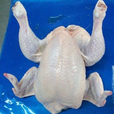 Halal Whole Frozen  Chicken Grade A Processed