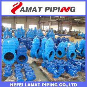 Wholesale cast iron butterfly valve: BS5163 DIN3352-F4/F5 AWWA-C509 Resilient Seal Gate Valve