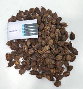 Wholesale Spices & Herbs: Black Cardamom