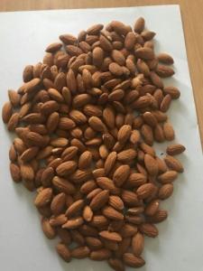 Wholesale Almond: 100% Super Quality California Roasted/Raw/Processed Almond Nuts