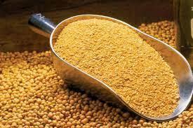 Wholesale energy: Soybeans Meal