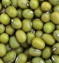 Wholesale weight control: Green Mung Beans for Sale 2016