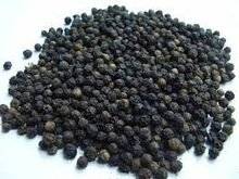 Wholesale black pepper: Black Pepper for Sale 2015 Crop