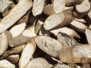 Wholesale vietnam tapioca starch: Dried Sliced Cassava/May Truong//WHATSAPP:+84397392071