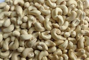 Wholesale food tin: Cashew Nut Kernels
