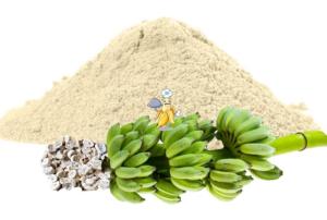 Wholesale green: Green Banana Flour