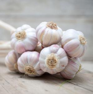 Wholesale white garlic: Fresh White Garlics , Dry Garlics Flakes and Crushed