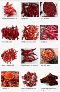 Wholesale chilli: Indian Dry Red Chili