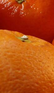 Wholesale fresh fruits: Fresh Orange, Citrus Fruits, Melon Fruits