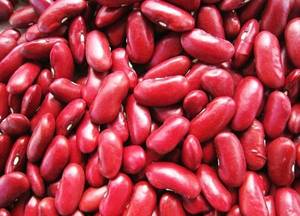 Wholesale red beans: Red Kidney Beans