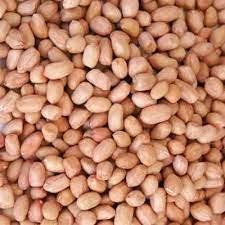 Sell Raw Peanut Kernels / raw groundnut peanut