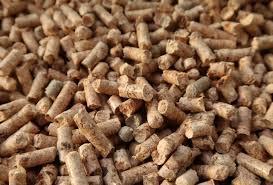 Sell Wood pellets