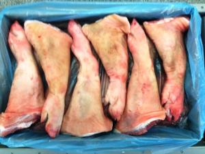 Wholesale salted omasum: Pork Meat , Frozen Pork Ears , Frozen Pork Meat , Pork Meat Fats , Pork Body