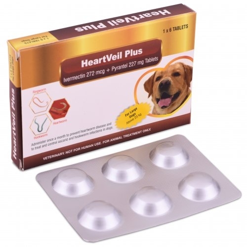 Ivermectin tablets vet