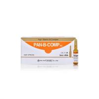 Pan-B-Comp Inj