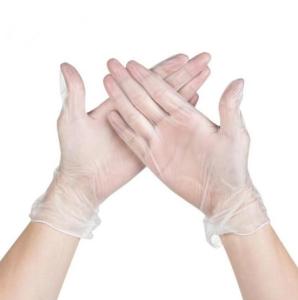 Wholesale vinyl glove: Disposable Vinyl Gloves Transparent Color