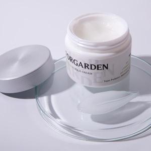 Wholesale moisturizing aqua skin: Forgarden Herbtherapy Aqua Cream