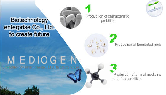 Mediogen Co., Ltd.