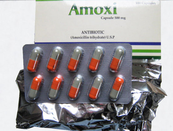 Amoxicillin trihydrate price