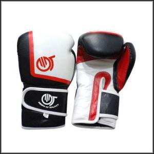 Wholesale Sport Products: Boxing Glove/Boxing Gears