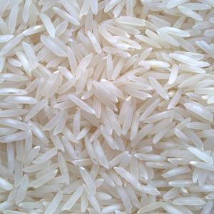 Wholesale brown rice: Rice