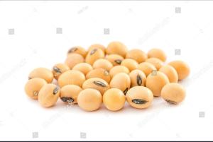 Wholesale soy bean: Soyabeans