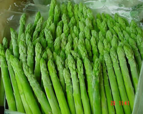 Sell Fresh Asparagus