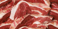 Halal Fresh Lamb /Frozen Meat of Beef/Cow