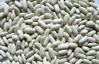 White Kidney Beans