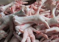 Sell frozen chicken feet