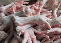 Sell  Halal Frozen Whole Chicken