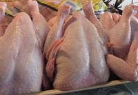 Sell frozen whole chicken