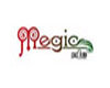 Megic Decorative International Co., Limited Company Logo
