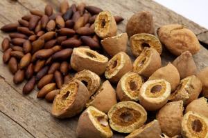 Wholesale cashew nut: Baru Nuts for Sale