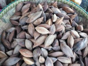 Wholesale nuts for sale: Pili Nuts for Sale
