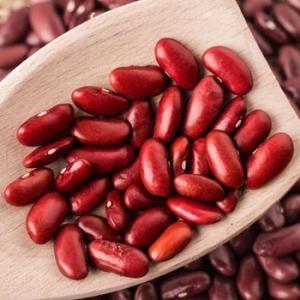 Wholesale kidney beans: Red Kidney Beans for Sale