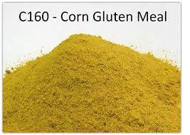 Wholesale color pigment powder: Corn Gluten Meal