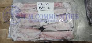 Wholesale Dried Food: Frozen Loligo Squid