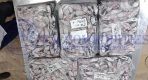 Wholesale blocks: Frozen Loligo Squid Available for International Clients