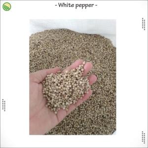 Wholesale pepper: White Pepper From Indonesia Export Quality Direcly From Factory
