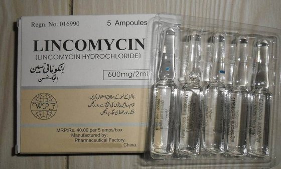 Generic Lincocin